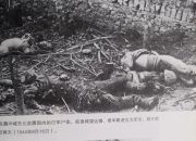 开云官方app入口-红军意外惨败赛季终结