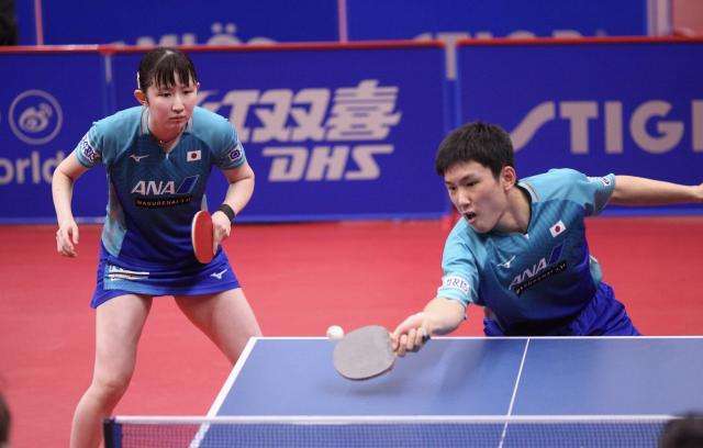 包含比利时乒乓球队完胜奥地利乒乓球队，水谷隼爆发神勇的词条