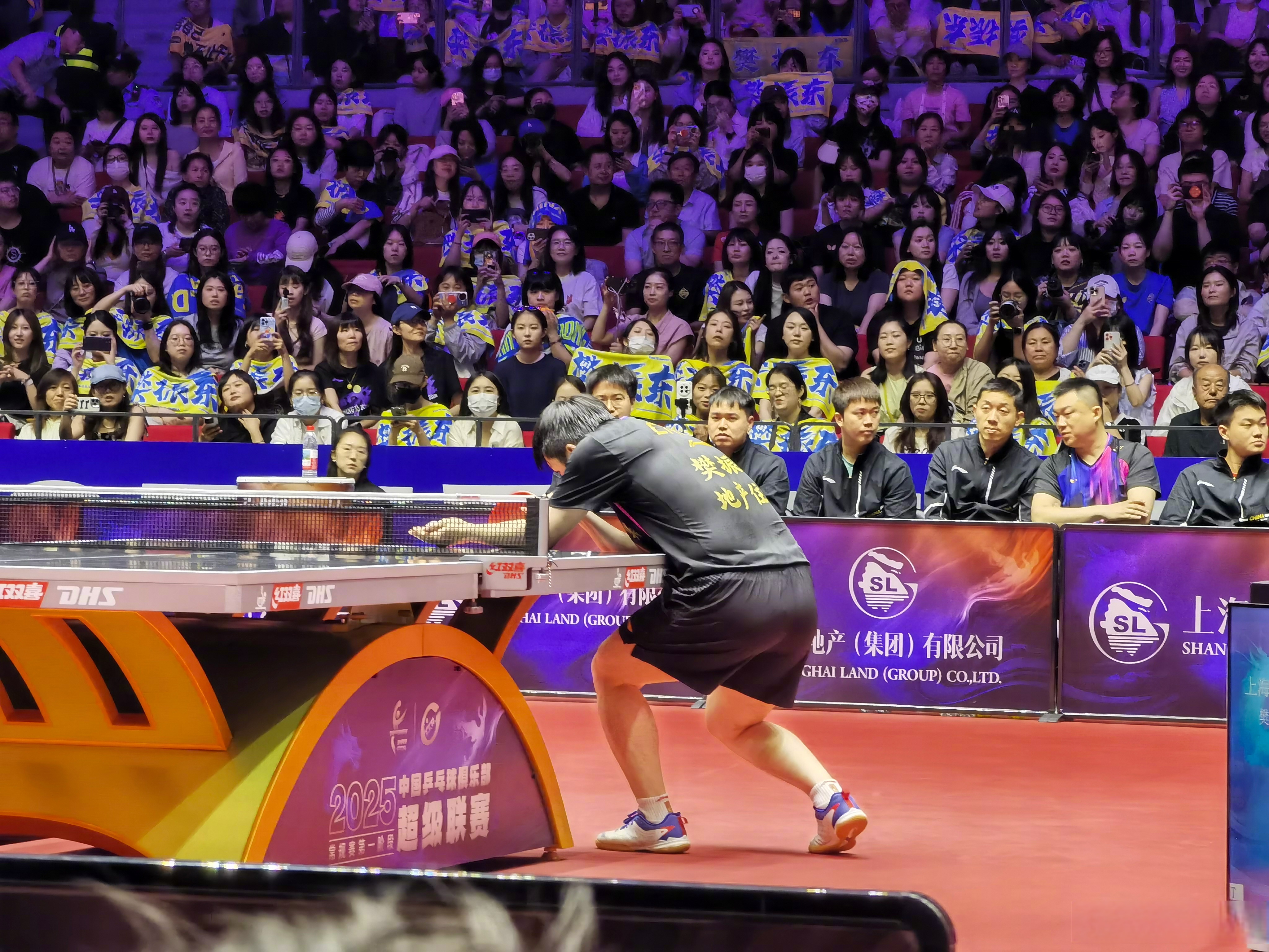 瑞典乒乓球队翻盘中国乒乓球队，波尔一己之力扛起全队的简单介绍