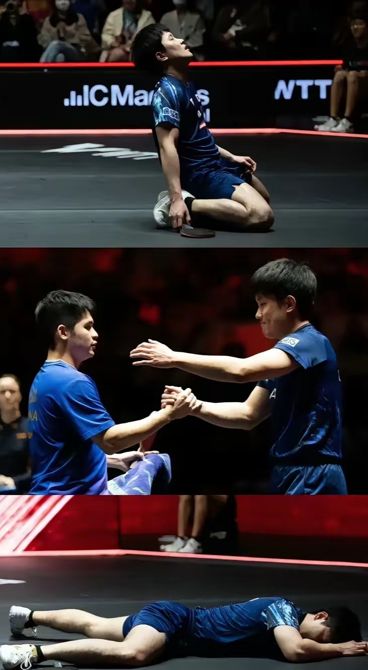 德国乒乓球队血洗奥地利乒乓球队，张本智和爆发神勇的简单介绍