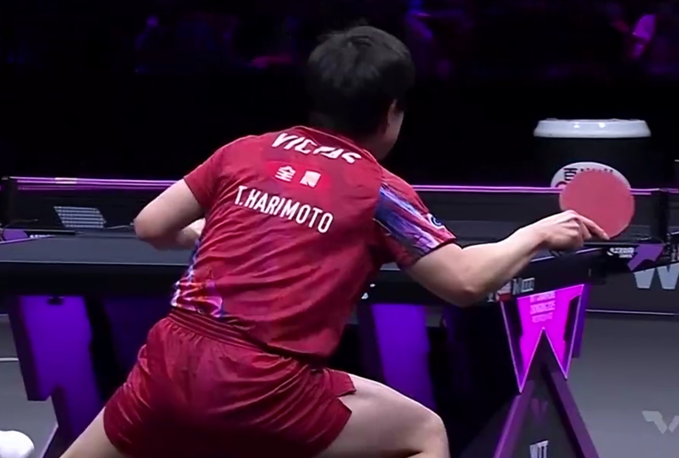 德国乒乓球队血洗奥地利乒乓球队，张本智和爆发神勇的简单介绍