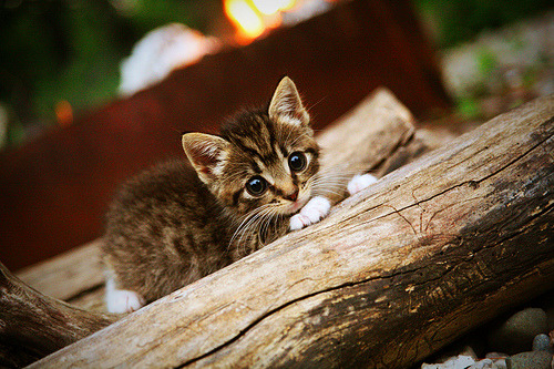 拉什福德关键回合不手软，亚特兰大单节拉开克罗地亚